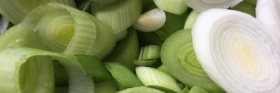 sun²⁶🐢 banner
