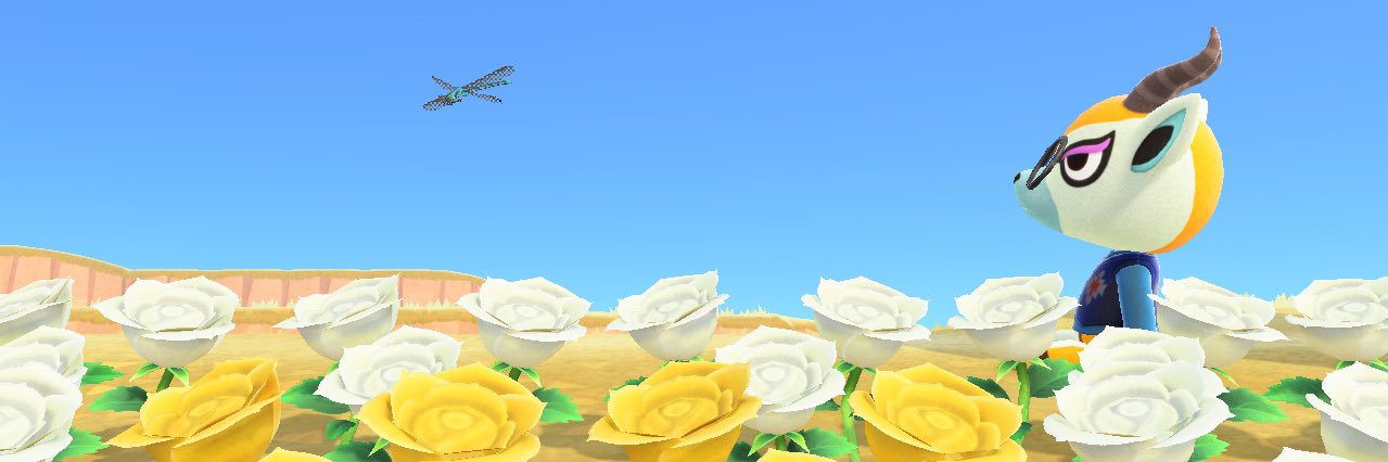 nagi8242's profile banner image