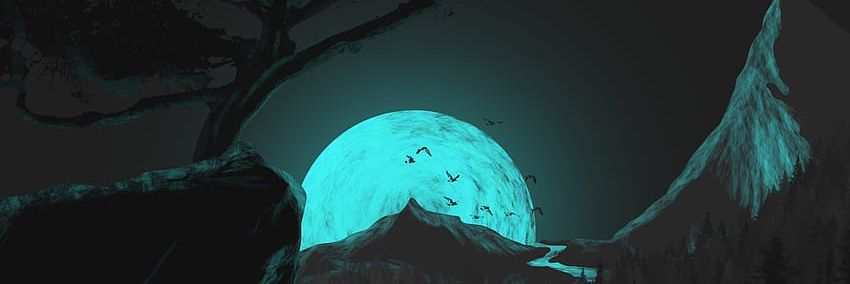 Srohon banner
