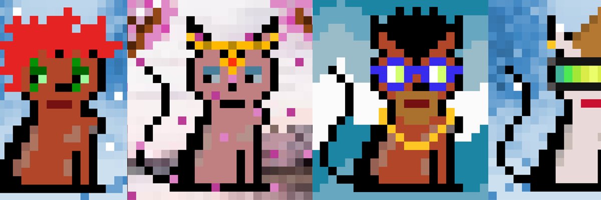 Ugly Cats | MINT IS LIVE banner