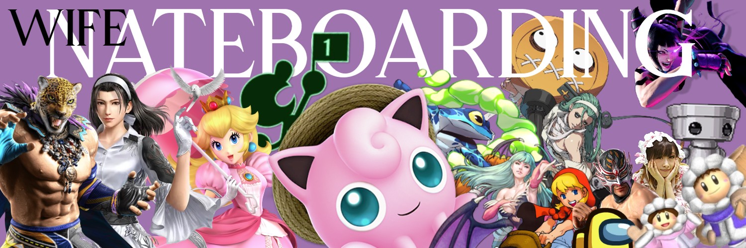 Nateboarding (Wife) banner