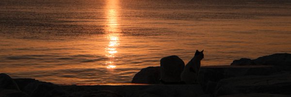 ratramelzo Profile Banner