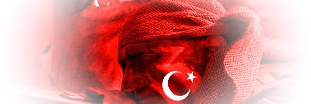 tek1bayrak's profile banner image