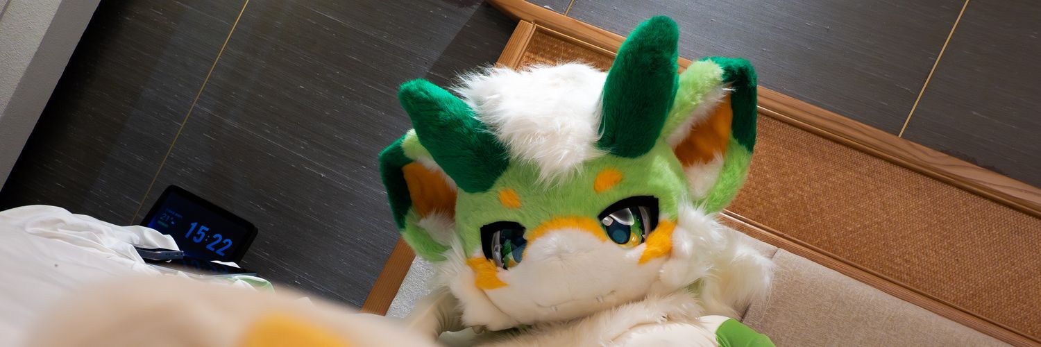 灰风/洛帕 banner