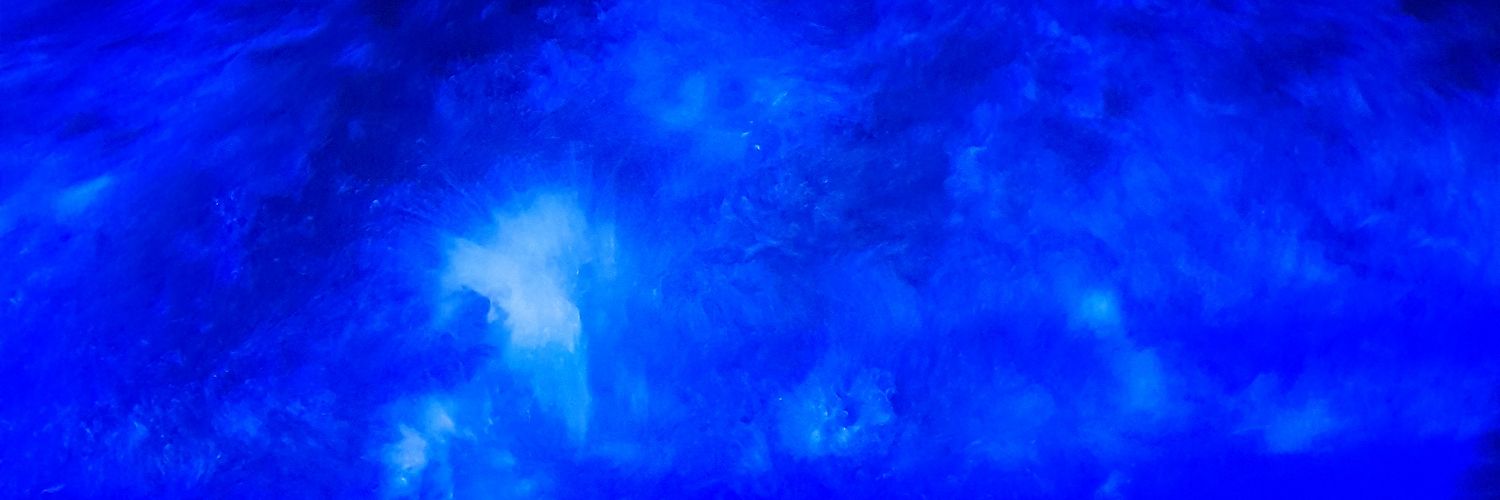 SEEDmaysam's profile banner image