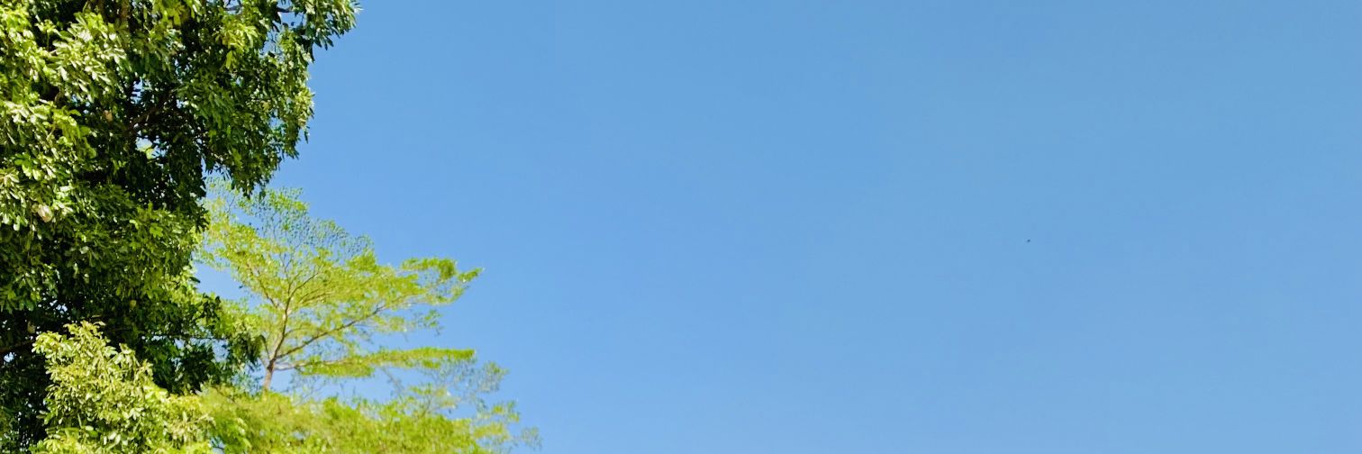MBK banner