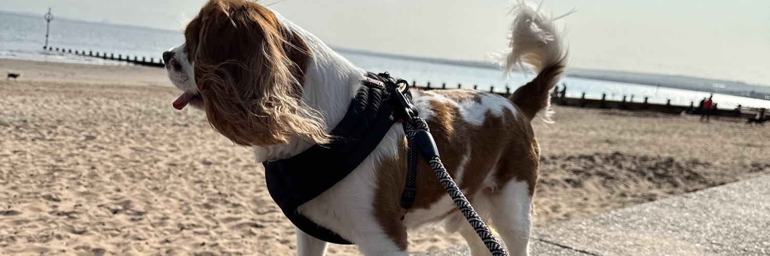 S 🏴󠁧󠁢󠁳󠁣󠁴󠁿🏳️‍🌈 banner