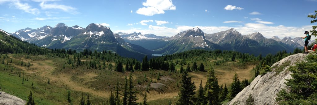 Marilyn Arsenault banner