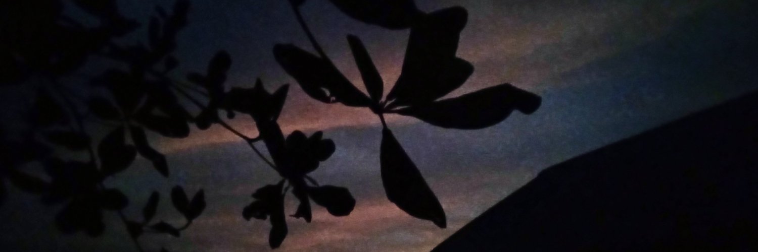 intoh_adamu's profile banner image