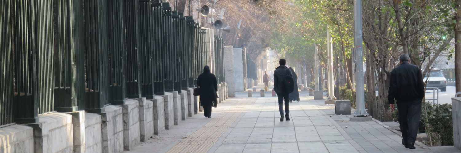Z.Shams's banner