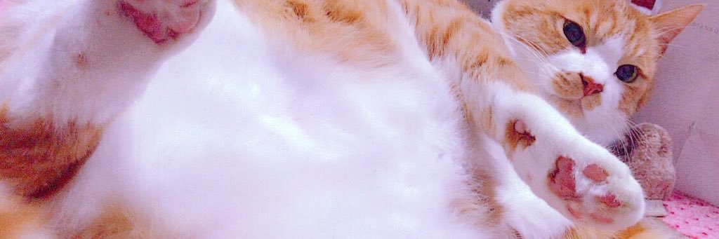 hin5756's profile banner image
