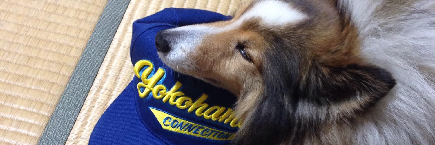 Dog_Sweet666's profile banner image