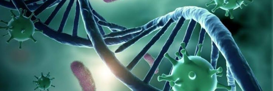 Manani Akshay banner