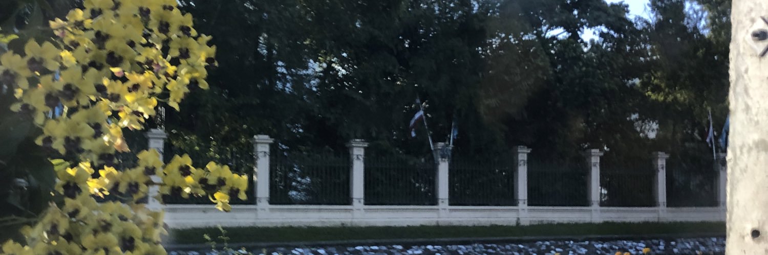 memynamemeiji banner