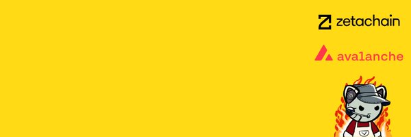 barissomeroglu Profile Banner