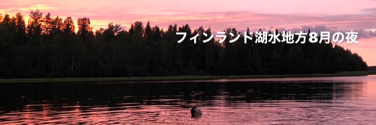 沼田晃一 Koichi Numata banner