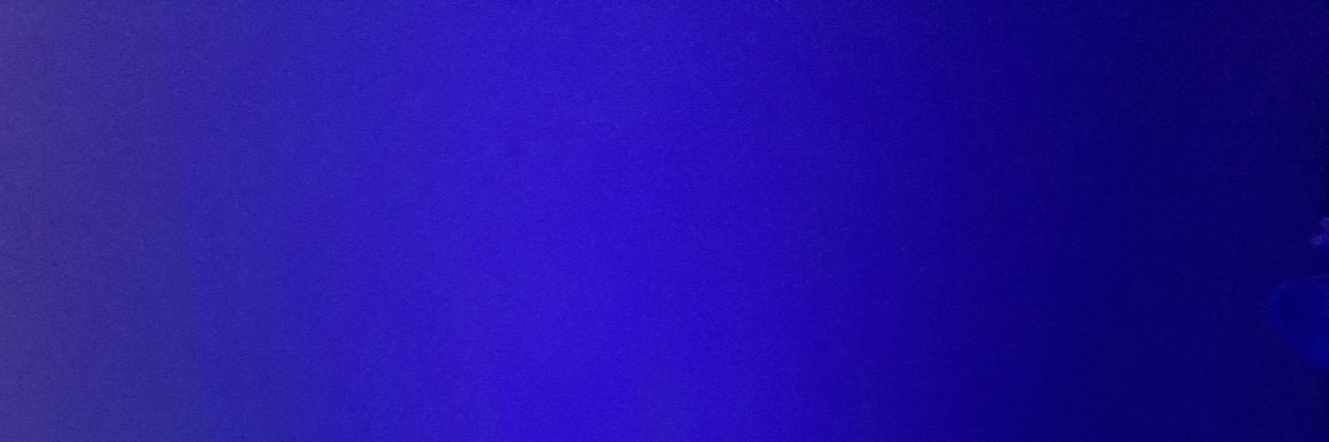 lucciaaaaai's profile banner image
