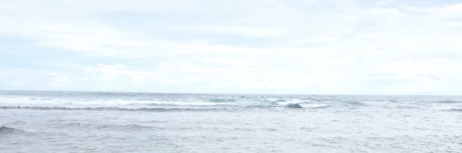 dinashafarina's profile banner image
