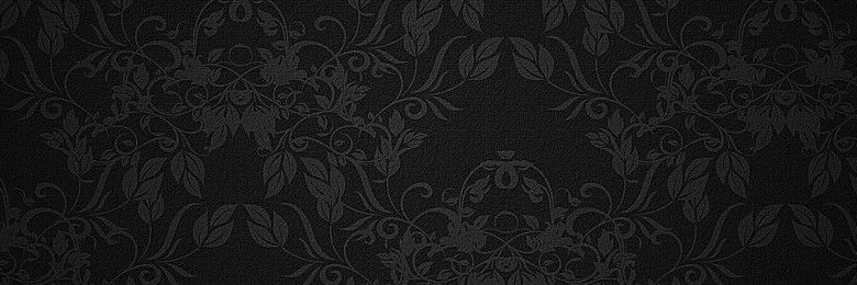Noire banner