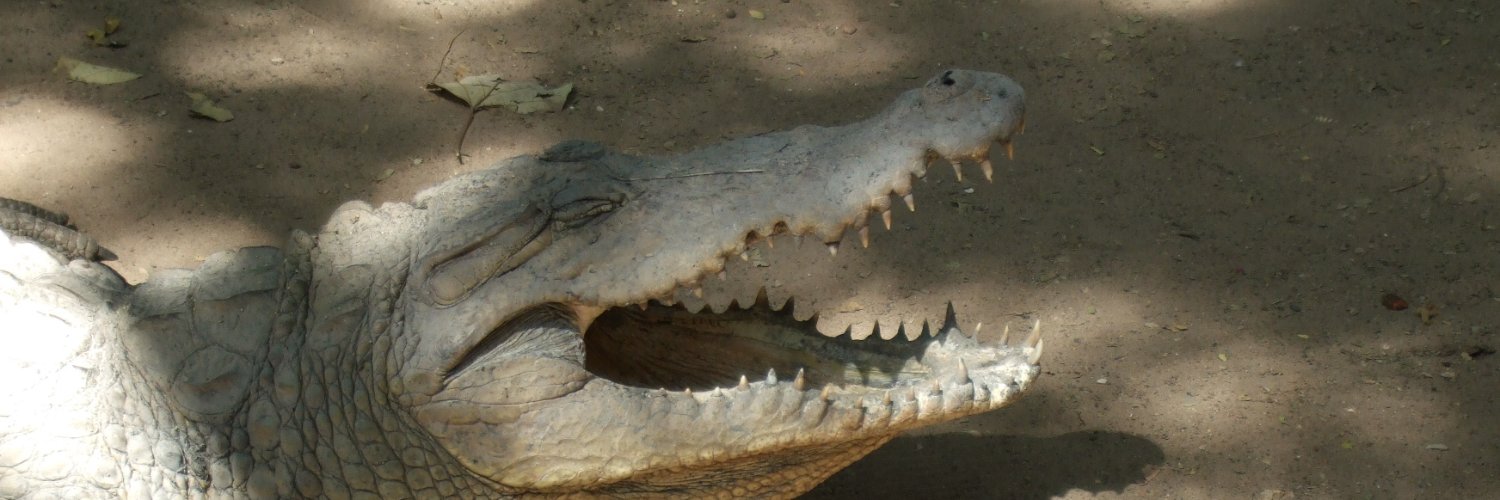 hutt6751's profile banner image