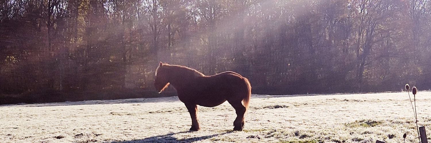 zigdu01's profile banner image