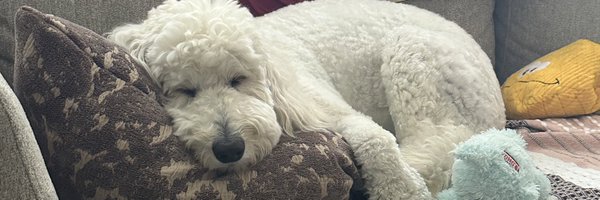 alexxpowers Profile Banner