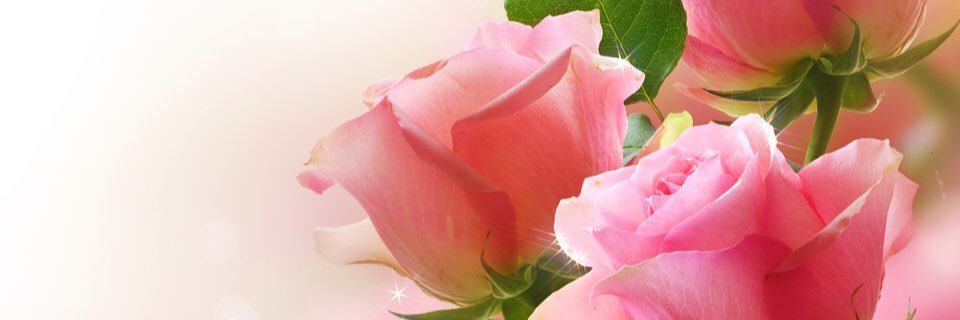 maod_mo's profile banner image