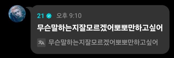 nekotaesan Profile Banner