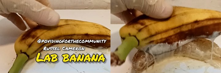 Providingforthecommunity banner