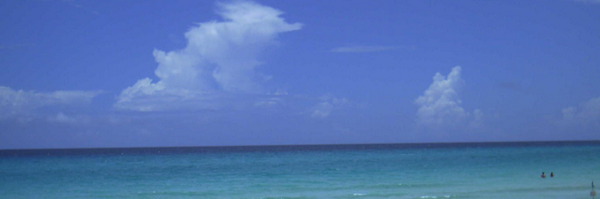 FredrikWeibull Profile Banner