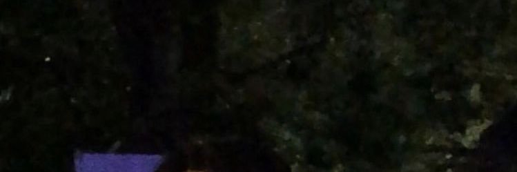 21 banner