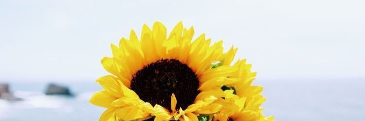 alphamaesoria's profile banner image
