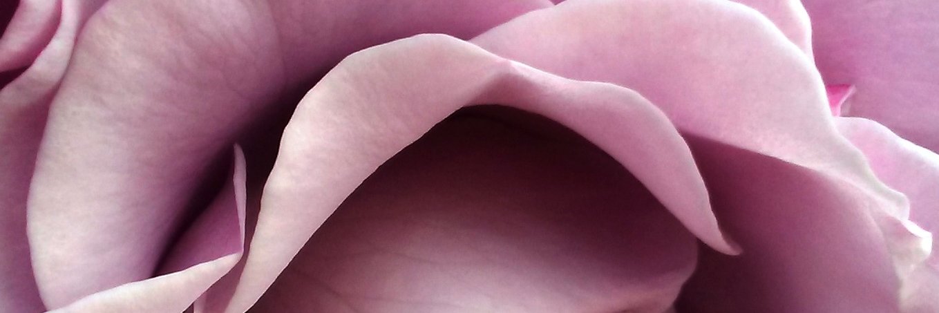 CDEgger's profile banner image