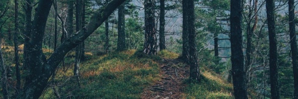 Germán Pablo Miñón banner