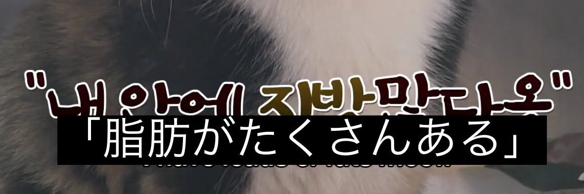 い banner