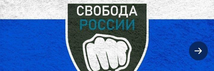 FreedomOfRussiaLegion💙🤍🇷🇺🤍💙 banner