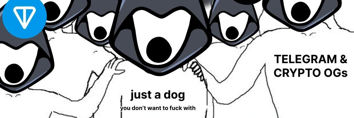 SHITLIFE banner