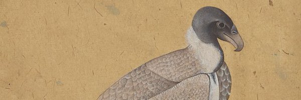 Ammonaut Profile Banner