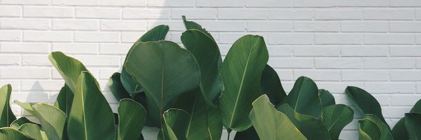_affhn's profile banner image