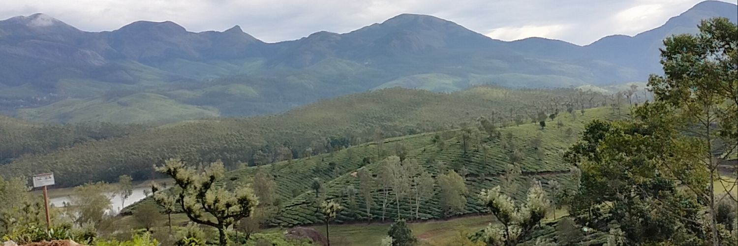 NPanayil's profile banner image