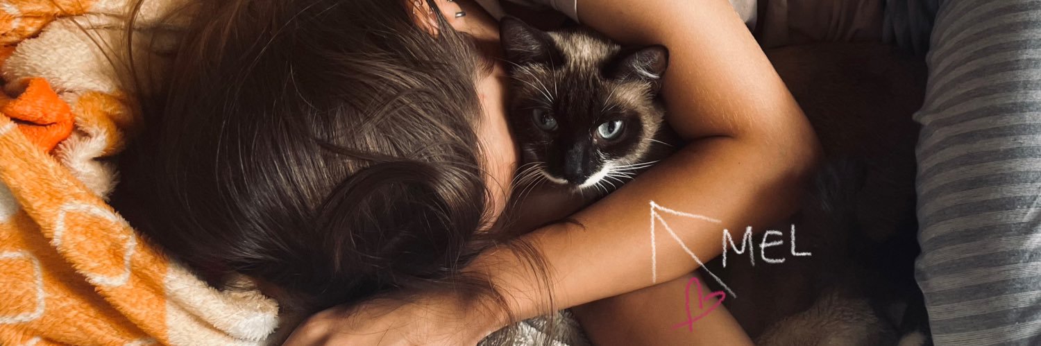 beelle^ banner