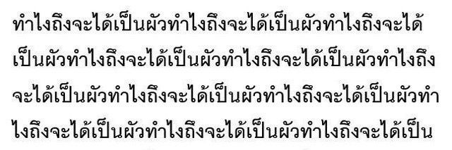 นู๋ดุ้ง banner