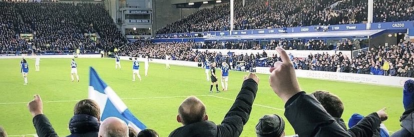 Wynny banner