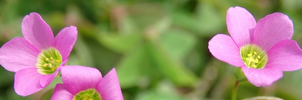 oo35703's profile banner image