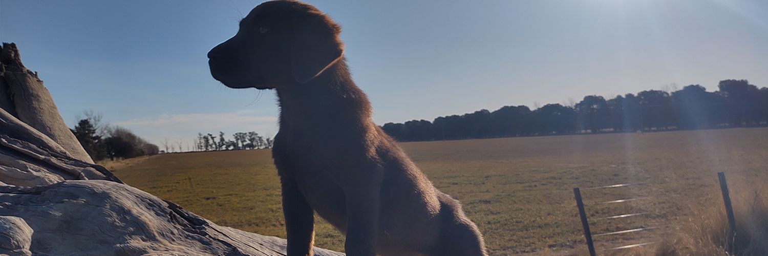 EEguii's profile banner image