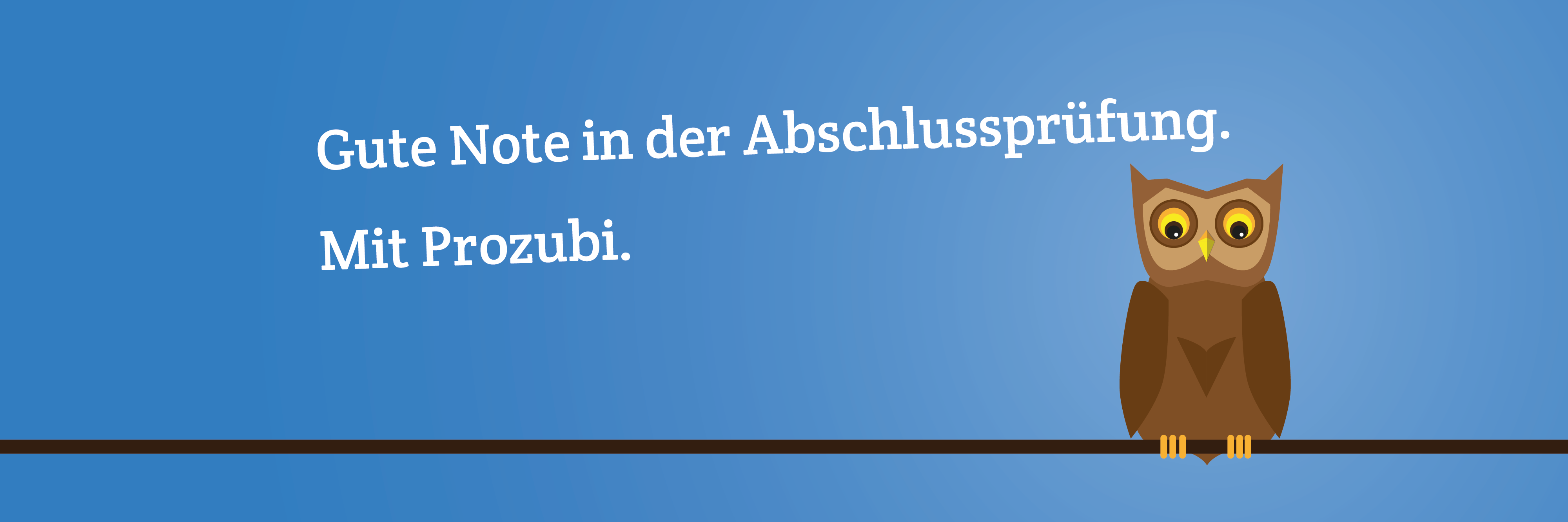 prozubi's profile banner image