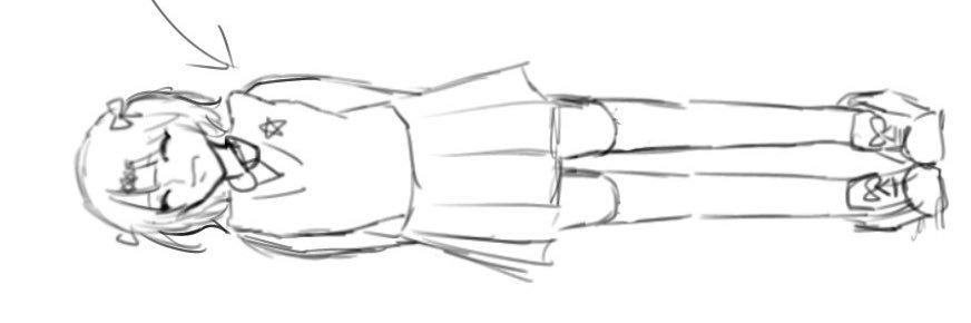 pona banner