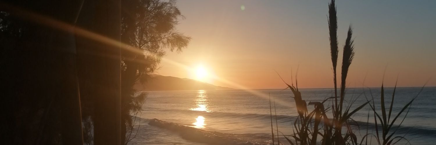 yolandasanchezd's profile banner image