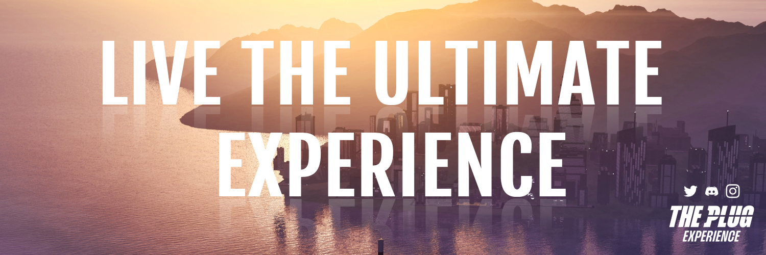 THE PLUG EXPERIENCE banner