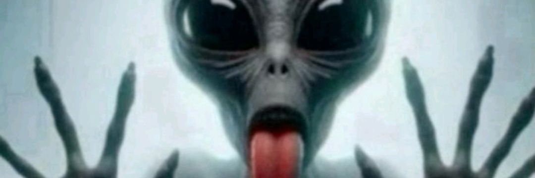 LoFreit10435385's profile banner image